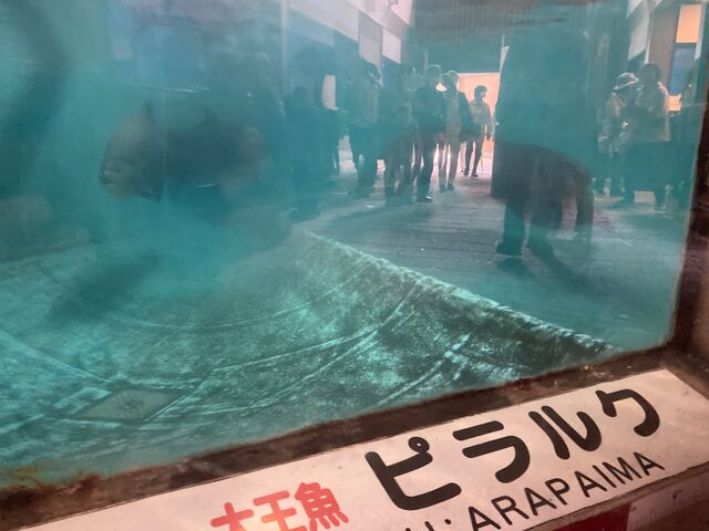 白池地獄_白池地獄