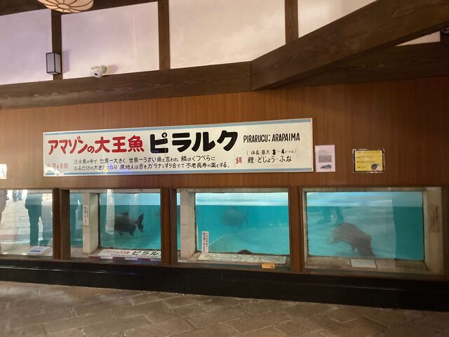 白池地獄_白池地獄