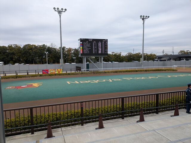パドック_名古屋競馬場