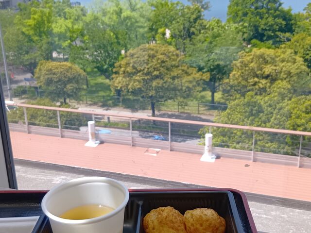 お台場の景色とたこ焼き_やまちゃん・お台場たこ焼きミュージアム店