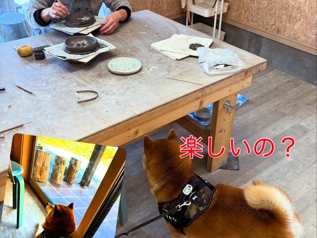 ママまだぁ?_陶芸体験 亀工房