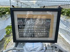 岸川農園の写真2