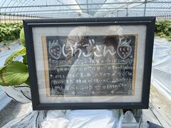 岸川農園の写真3
