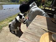 4人のかーちゃんさんのcafe のっちの投稿写真1