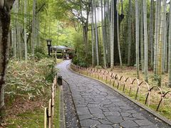 修善寺温泉の写真1