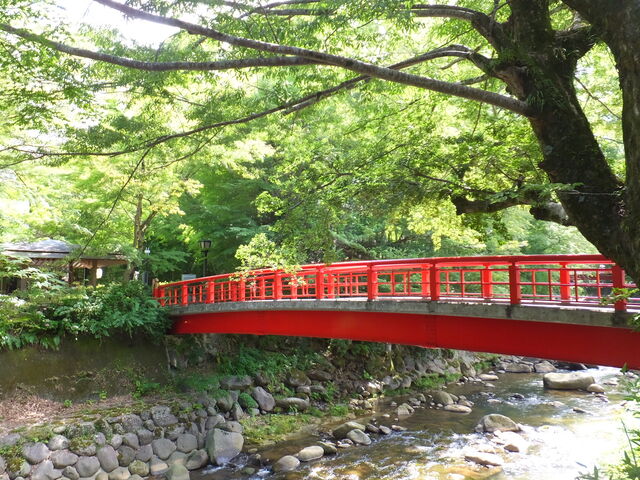 桂橋_桂橋