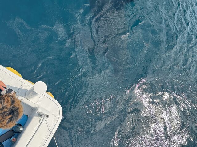 船の下を通過_(有)丸は宝来水産ゴジラ岩観光知床半島ラウスクルーズ