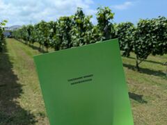 サンセットウォーカーヒルの写真1