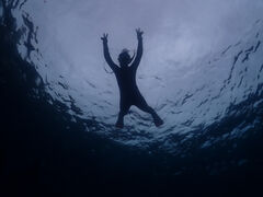 ria7さんのDIVE&HOUSE FUTOへの投稿写真1