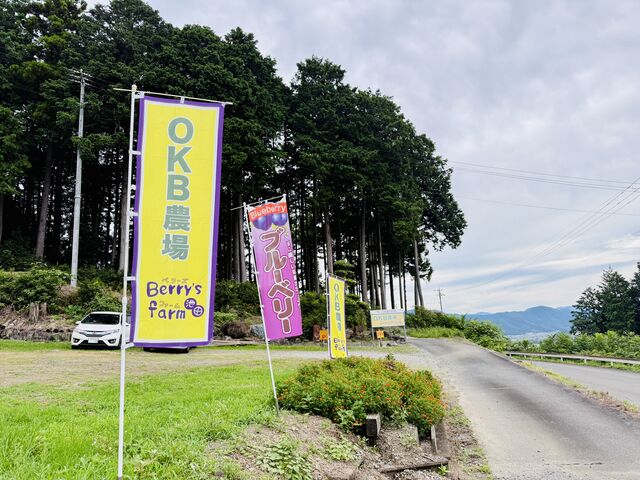 駐車場_OKB農場 Berry's farm 池田