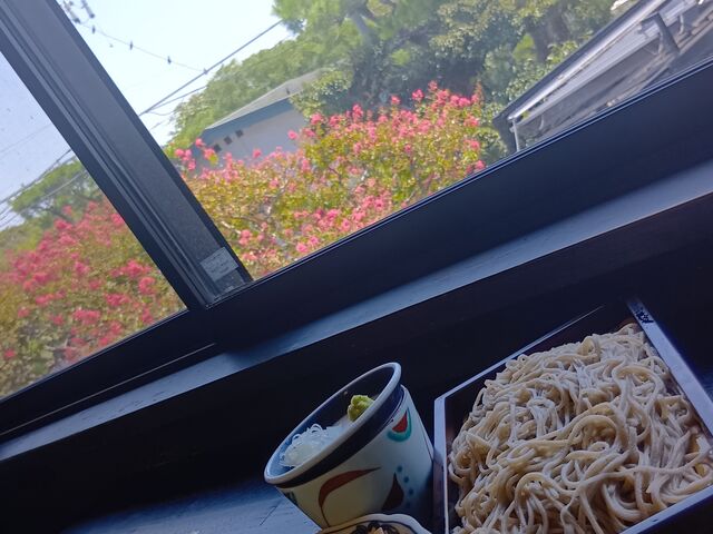 2階の席からの景色_鎌倉 松原庵