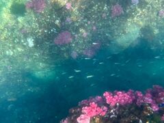 エイペックススポーツ(ホテルニューアカオ)の写真2