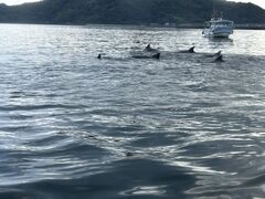 シークルーズの写真2