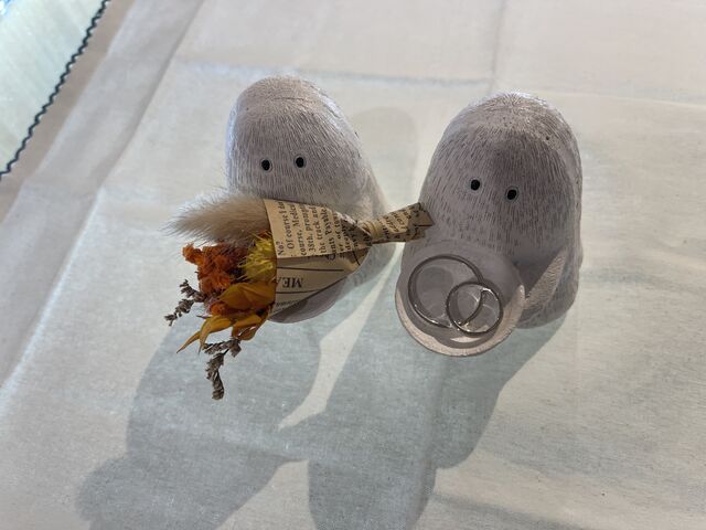 記念日_アカネス福岡