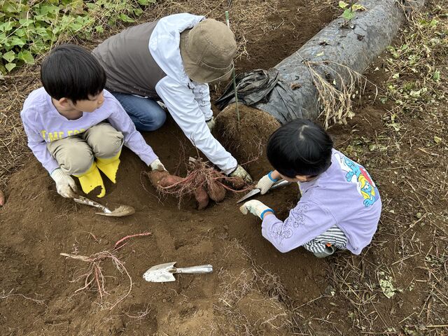 ゆりさんの菜園倶楽部の投稿写真1