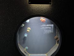 下田海中水族館の写真3