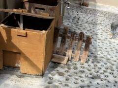 下田海中水族館の写真4