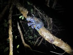 Nami宮古島の写真1