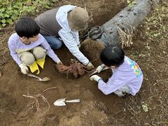 ゆりさんの菜園倶楽部への投稿写真1