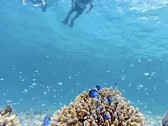 Cheerful 宮古島の写真3