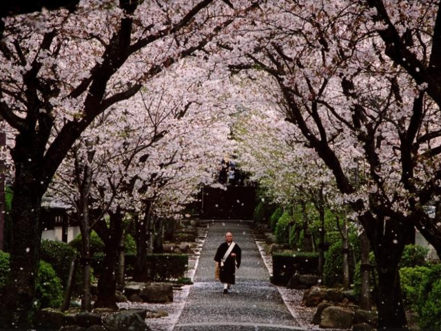 光長寺_光長寺
