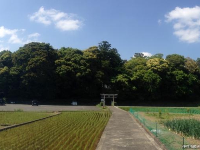 大宮神社の写真1