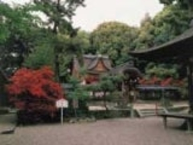 水度神社の写真1