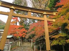 若宮神社の写真1