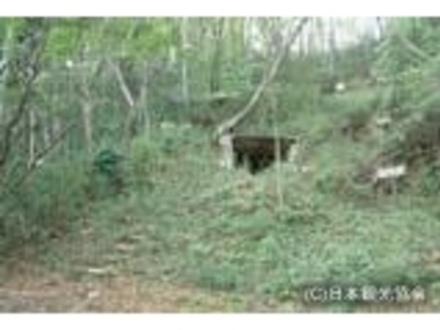 川北横穴古墳群_川北横穴古墳群