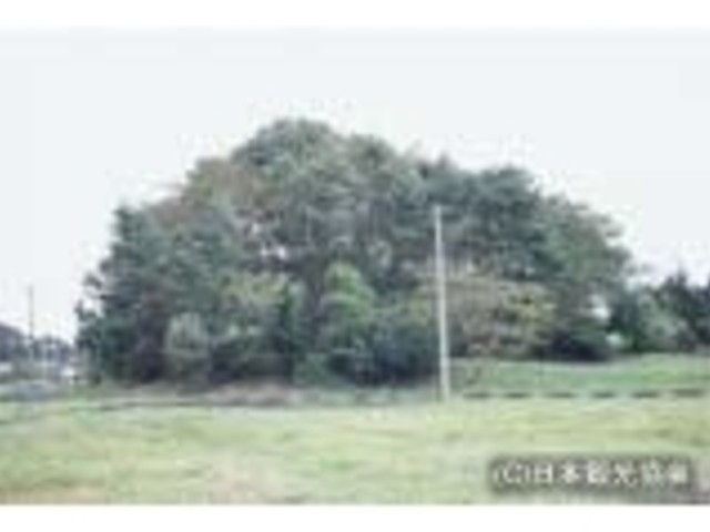 山前遺跡の写真1