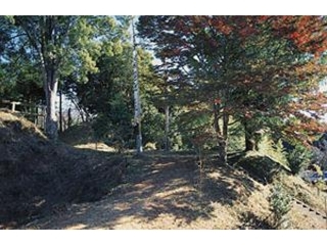 千本城跡の写真1