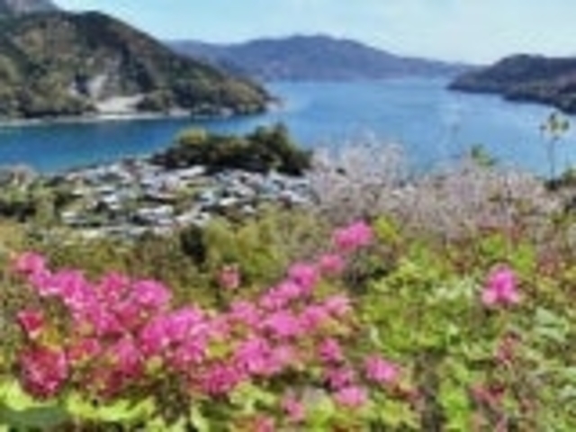 城山公園の写真1