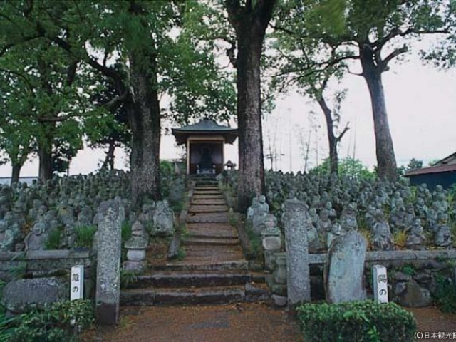 東光寺五百羅漢_東光寺五百羅漢