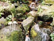 お清水の森の写真1