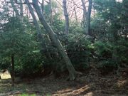 兜塚古墳の写真1