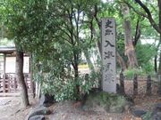 入海貝塚の写真2