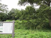 佐味田宝塚古墳の写真1