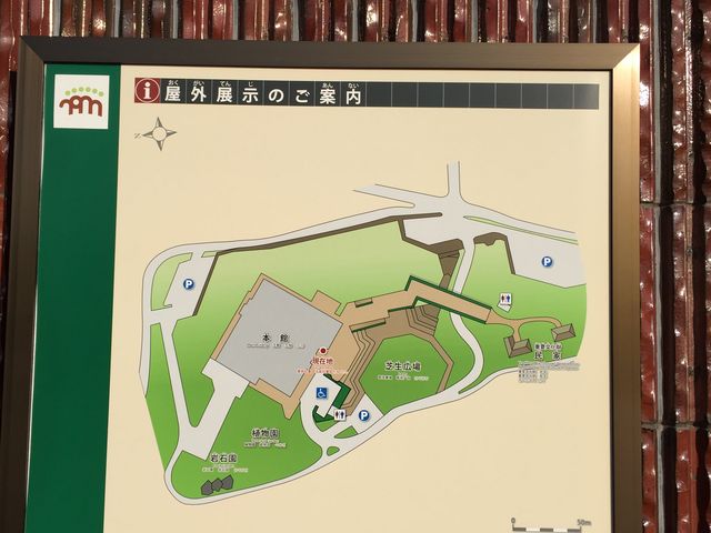 岩手県立博物館