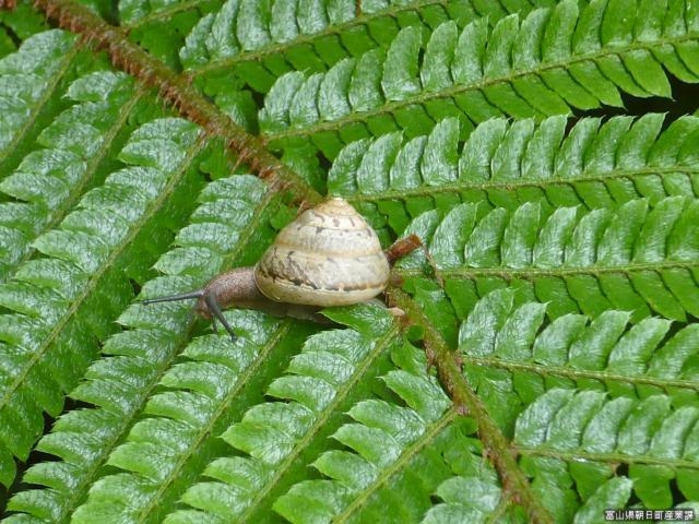 宮崎自然博物館の写真1