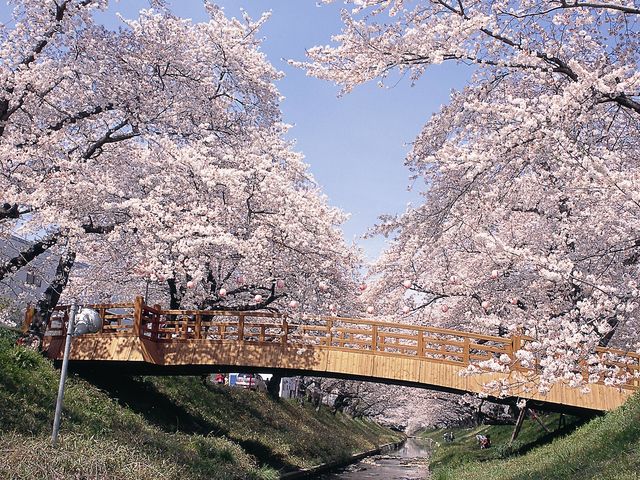 岡崎城