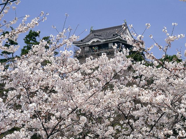 岡崎城