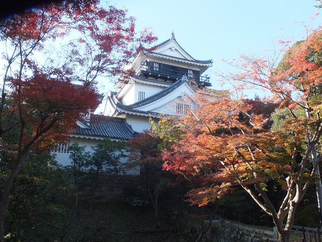 岡崎城と紅葉_岡崎城