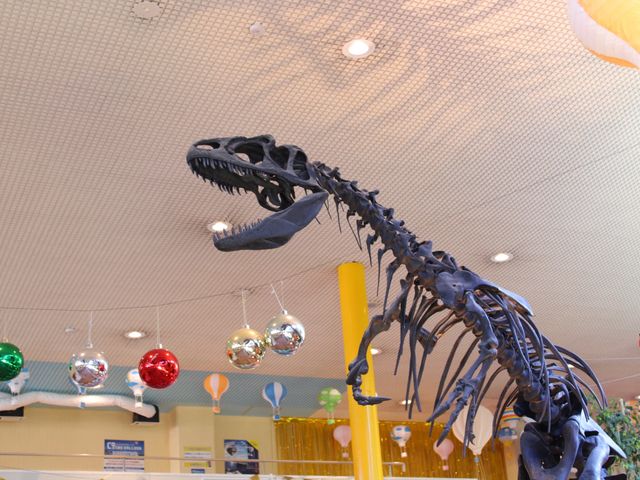 アロサウルス骨格(レプリカ)_白浜エネルギーランド