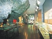氷見市立博物館の写真4