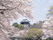 岡崎城の写真2
