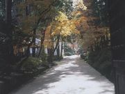 公益財団法人 絲原記念館の写真2