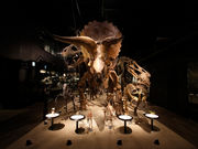 御船町恐竜博物館の写真2