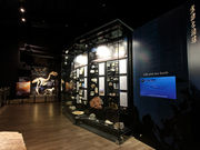 御船町恐竜博物館の写真3