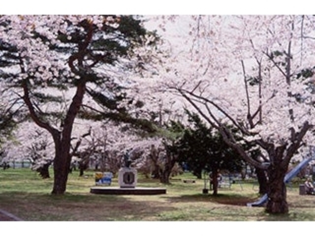 青葉ヶ丘公園の写真1