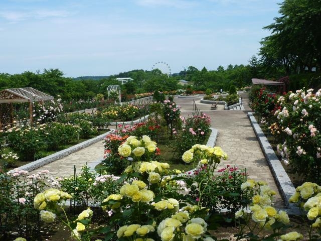 八戸公園(植物園)